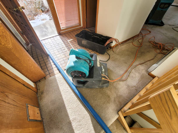 Best Water damage contractors near me  in Ricardo, TX