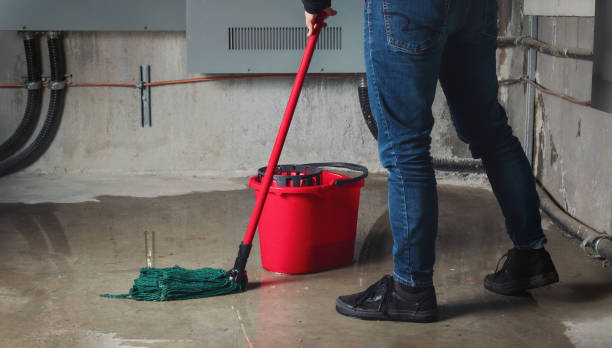 Ricardo, TX Water damage restoration Company