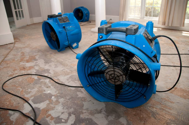 Best Carpet water damage restoration  in Ricardo, TX
