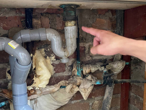 Best Flood damage cleanup  in Ricardo, TX