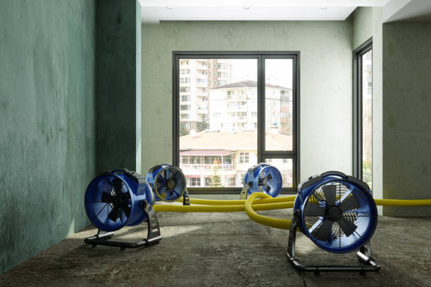 Professional Water damage restoration in Ricardo, TX